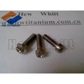 high quality GR5 titanium flange bolt